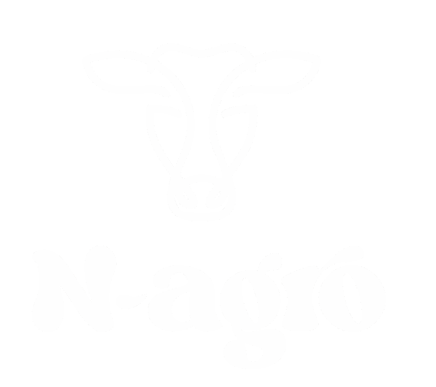 Н-Агро